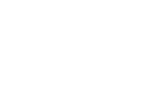 Logo Item