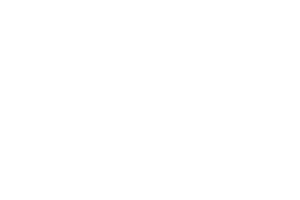 Logo Item